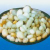 河南鄭州鵝卵石濾料用途，鵝卵石濾料鋪路專用