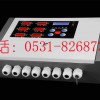08標(biāo)準(zhǔn)型甲苯泄露檢測(cè)儀