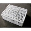 供應(yīng)山東新料塑料雞鴨籠（方形橢圓形籠子）