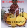 菠蘿果膠，福建菠蘿果膠生產商，廈門哪里有菠蘿果膠食品級
