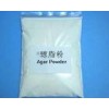 瓊脂粉，瓊脂粉價格，福建瓊脂粉泉州供應商電話，瓊脂粉含量