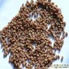 葫蘆巴膠、葫蘆巴膠生產(chǎn)廠家、葫蘆巴膠價格、葫蘆巴膠用途