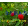 蛋白酶，蛋白酶應用范圍