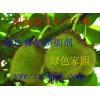香蘭素，廠家直供香蘭素
