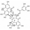 供應(yīng)老鸛草素  60976-49-0