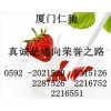 L-賴氨酸最新報(bào)價(jià) L-賴氨酸國(guó)家免檢 L-賴氨酸用量含量