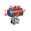Q611F-DN65氣動(dòng)片式球閥