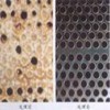 鍋爐清洗、暖氣管網(wǎng)清洗、換熱器清洗、油罐清洗、熱水管網(wǎng)清洗
