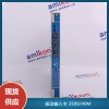 本特利狀態(tài)監(jiān)測(cè)系統(tǒng)延伸電纜330130-080-01-00